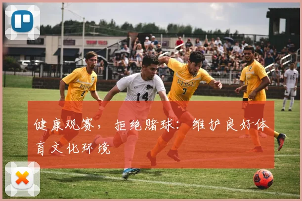 健康观赛，拒绝赌球：维护良好体育文化环境