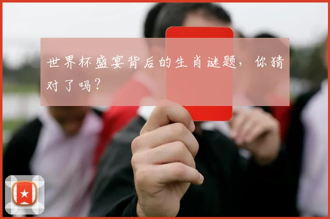 世界杯盛宴背后的生肖谜题，你猜对了吗？