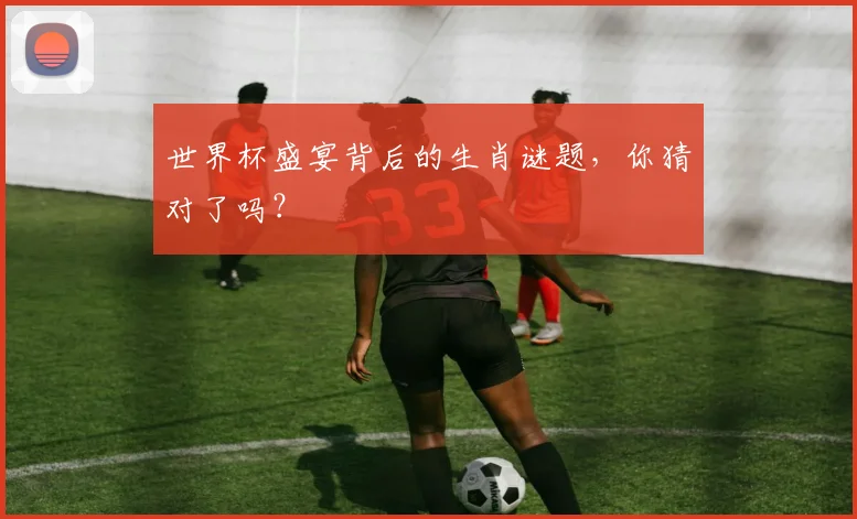 世界杯盛宴背后的生肖谜题，你猜对了吗？