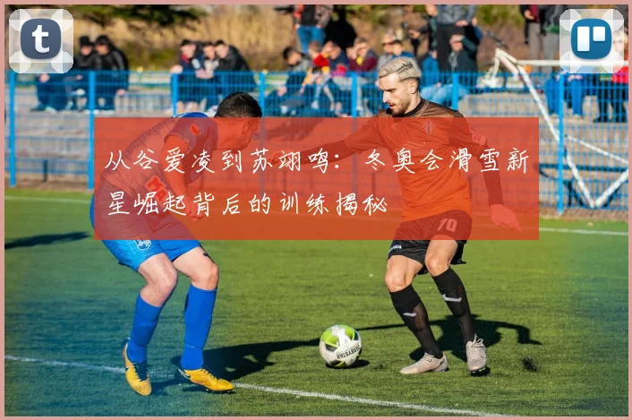 从谷爱凌到苏翊鸣：冬奥会滑雪新星崛起背后的训练揭秘