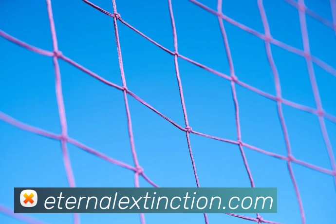 完美体育首页官网发展历程